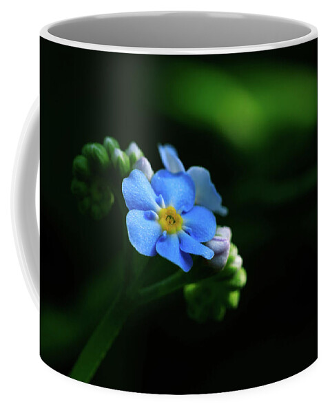 Forget-me-not Coffee Mug featuring the photograph Forget-me-not by Rob Davies