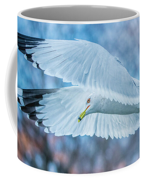 20170128 Coffee Mug featuring the photograph Forward Flight by Jeff at JSJ Photography