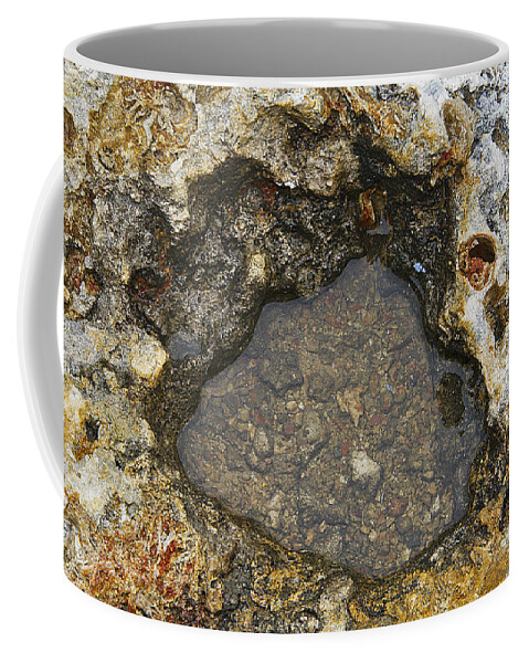 Background Coffee Mug featuring the photograph Fossil Rock Abstract 4 by Bob Slitzan