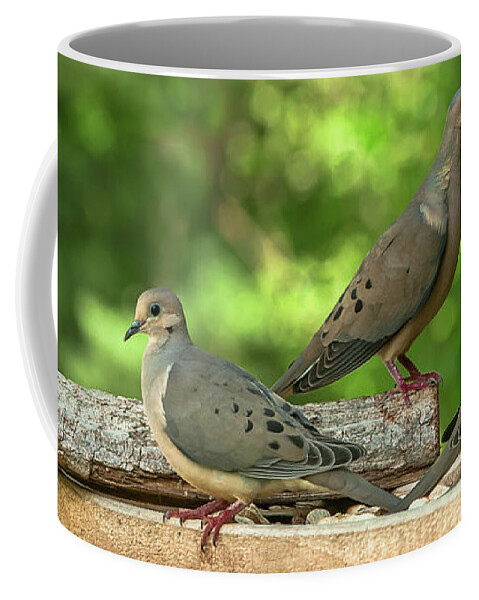 Alexandria Coffee Mug featuring the photograph Four Doves in Search of a Theme by Jim Moore