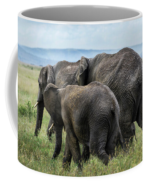 Elephants Coffee Mug featuring the photograph Four elephants in Serengeti by RicardMN Photography