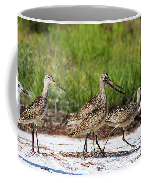 Marbled Godwit Coffee Mug featuring the photograph Four Marbled Godwits by Barbara Bowen