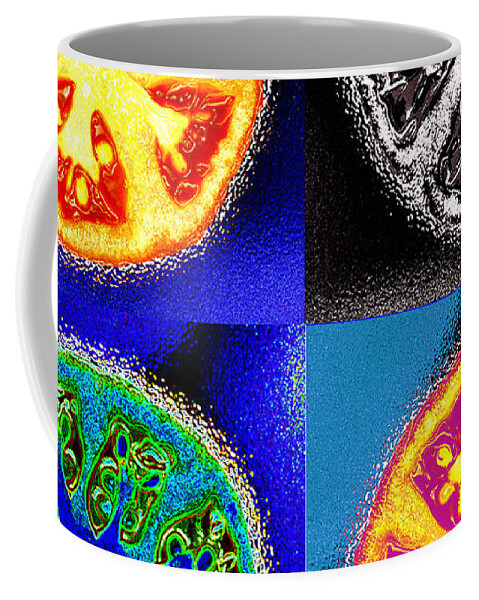 Tomatoes Coffee Mug featuring the photograph Four Tomatoes by Nancy Mueller
