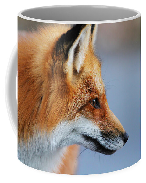 Animal Coffee Mug featuring the photograph Fox profile by Mircea Costina Photography