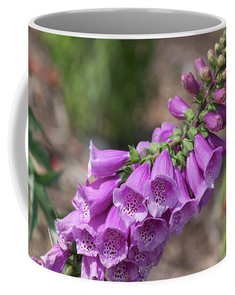 Photograph Coffee Mug featuring the photograph Foxglove by Suzanne Gaff