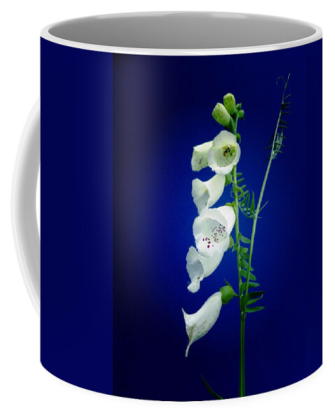 Foxgloves On Blue Coffee Mug featuring the photograph Foxgloves On Blue by Mike Breau