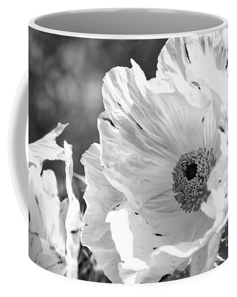 Flower Coffee Mug featuring the photograph Fragile and Strong by Ana V Ramirez