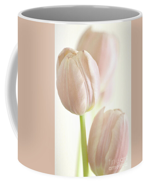 Tulip Coffee Mug featuring the photograph Fragile by Dianne Morgado