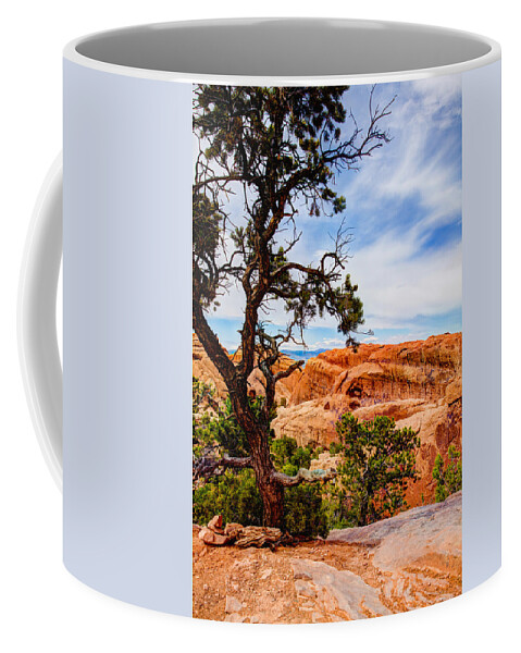 Outdoor Coffee Mug featuring the photograph Framed Arch by Chad Dutson