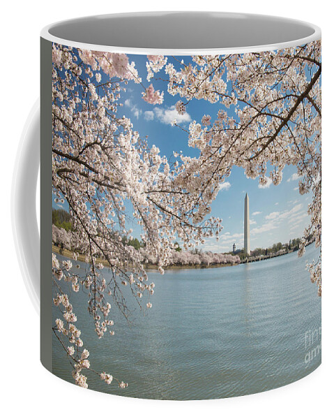 Cherry Blossom Festival Coffee Mug featuring the photograph Framed by cherry blossoms by Agnes Caruso