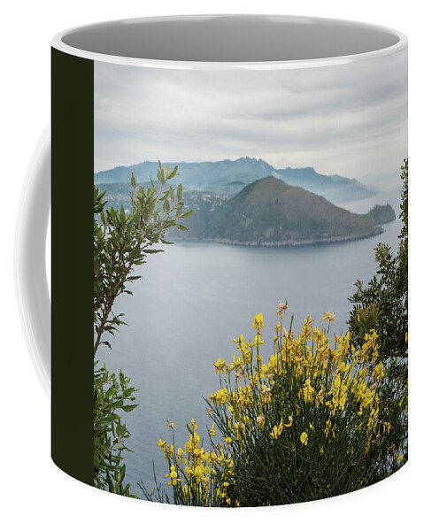 Capri Coffee Mug featuring the photograph Framed by Jocelyn Kahawai