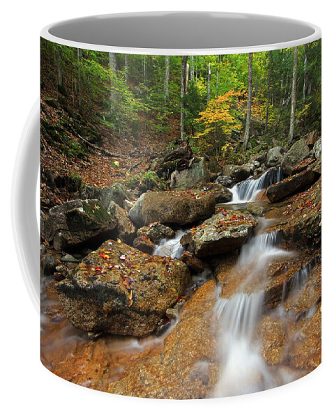 Cascade Brook Coffee Mug featuring the photograph Franconia Notch State Park by Juergen Roth