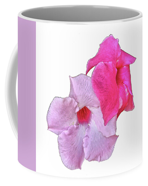 Mandevilla Coffee Mug featuring the photograph Fraternal Twins by Don Mercer