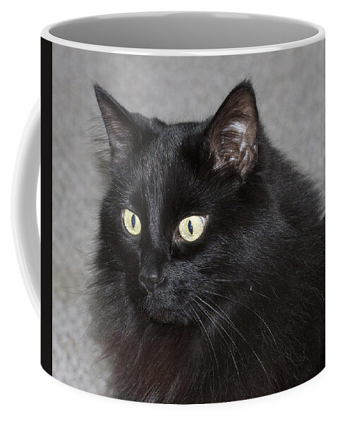 Black Yellow Coffee Mug featuring the photograph Fred by Suanne Forster
