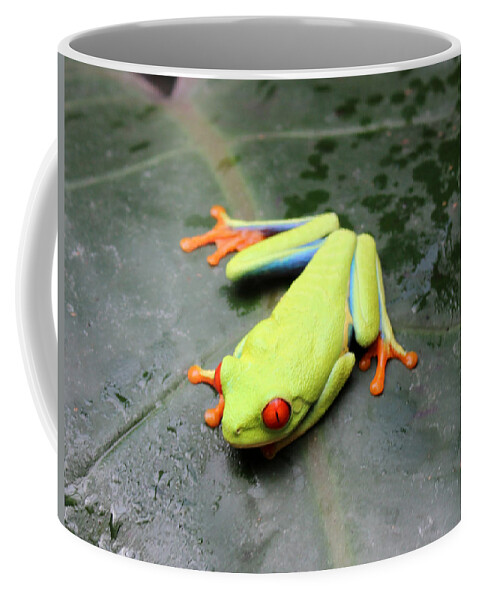 Frog Coffee Mug featuring the photograph Freddy 2 by Lorraine Baum
