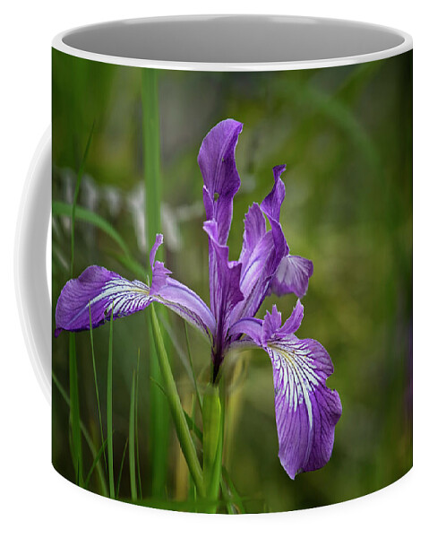 Iris Coffee Mug featuring the photograph Free Ranging Wild Iris by Belinda Greb