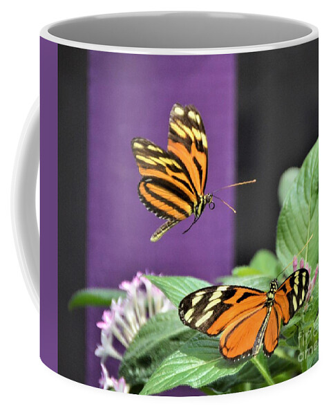 Butterflies Coffee Mug featuring the photograph Freeze Frame by Kathy Kelly