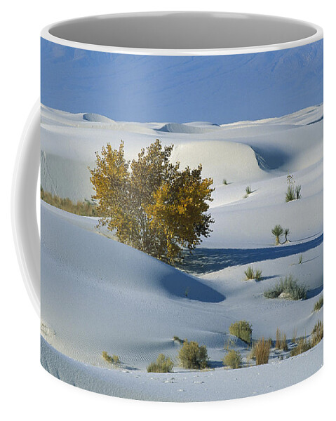 00198316 Coffee Mug featuring the photograph Fremont Cottonwood at White Sands by Konrad Wothe