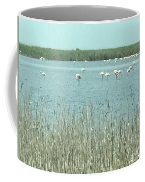 Flamingo Coffee Mug featuring the photograph French Flamingo Reunion by Nadine Rippelmeyer