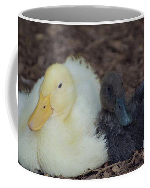 Birds Coffee Mug featuring the photograph Friends Forever by Donna Brown