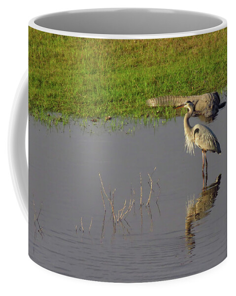 Blue Heron Coffee Mug featuring the photograph Friends? by Rosalie Scanlon