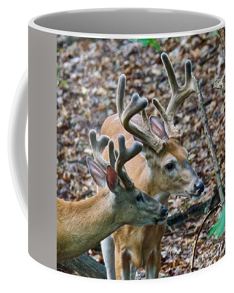 Deer Coffee Mug featuring the photograph Friends until Fall by Michael Peychich