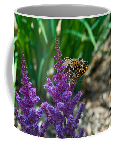 Butterfly Coffee Mug featuring the photograph Fritllary Butterfly on Astilbe by Douglas Barnett