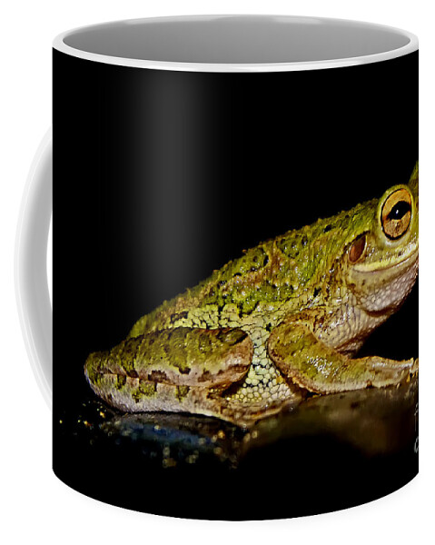 Cuban Tree Frog Coffee Mug featuring the photograph Cuban Tree Frog by Olga Hamilton