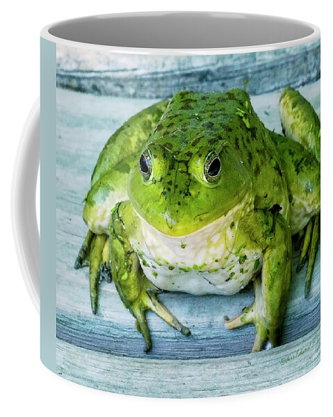 Frog Coffee Mug featuring the photograph Frog Portrait by Ed Peterson