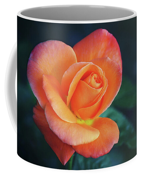 Roses Coffee Mug featuring the photograph From My Rose Gardens by Elaine Malott