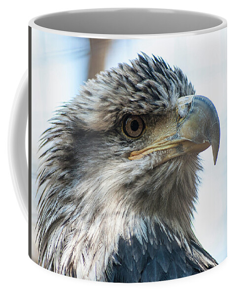 Photography Coffee Mug featuring the photograph From The Bird's Eye by Kathleen Messmer