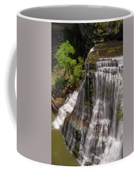 Burgess Falls State Park Coffee Mug featuring the photograph From the Top of the Falls by Bob Phillips