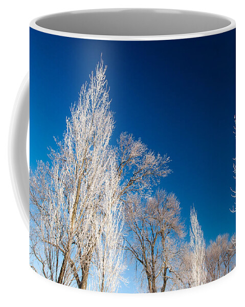 Frost Coffee Mug featuring the photograph Frost Covered Trees by Todd Klassy