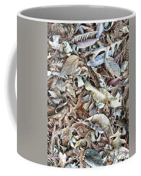 Leaf Coffee Mug featuring the photograph Frost on the Leaves I by Karin Everhart