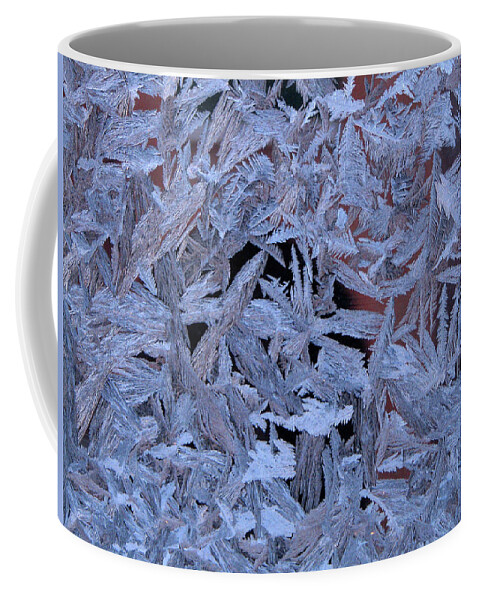 Victor Kovchin Coffee Mug featuring the photograph Frost Patterns on Window 1 by Victor Kovchin
