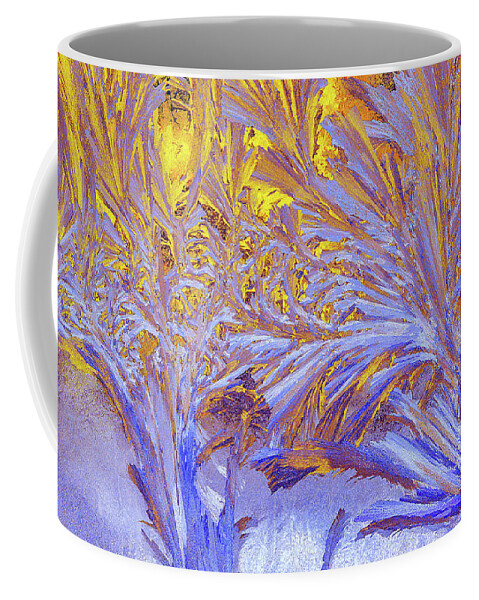 Victor Kovchin Coffee Mug featuring the photograph Frost Patterns by Victor Kovchin