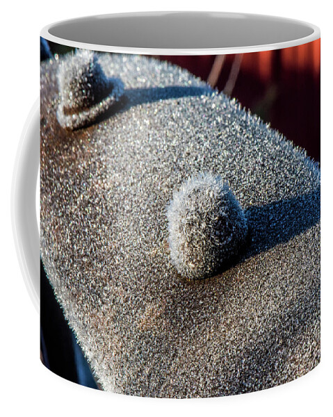 Grunge Coffee Mug featuring the photograph Frosted Rivet by Paul Freidlund