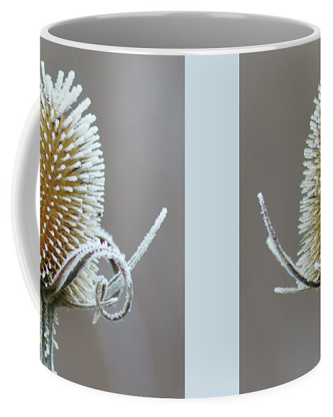 Hoar Frost Coffee Mug featuring the photograph Frosted Teasel by Nikolyn McDonald