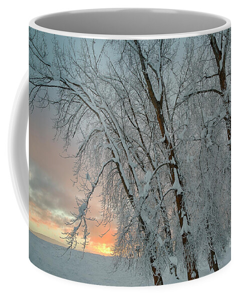 Bonners Ferry Coffee Mug featuring the photograph Frosty Sunrise by Idaho Scenic Images Linda Lantzy