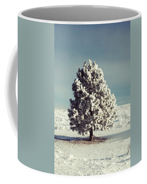 Hoarfrost Coffee Mug featuring the photograph Frosty the Tree by Todd Klassy