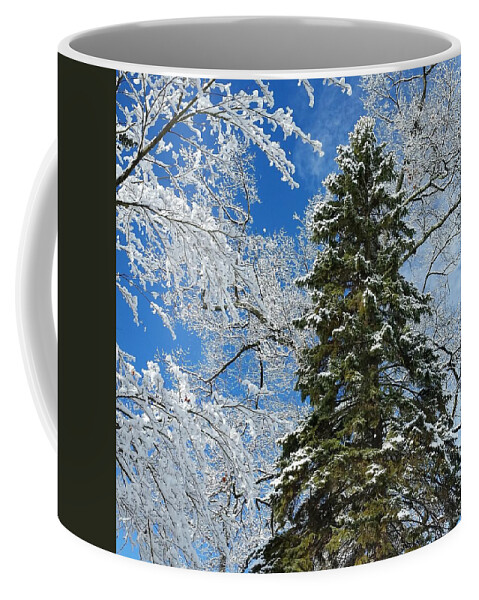 Winter Coffee Mug featuring the photograph Frozen Evergreen by Vic Ritchey