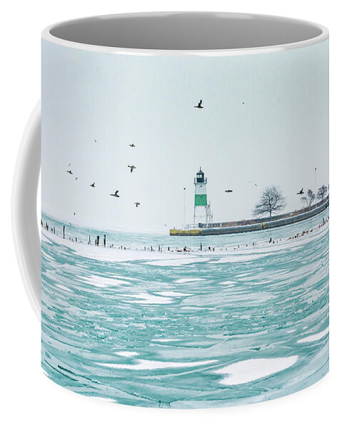 Usa Coffee Mug featuring the photograph Frozen in Chicago by Framing Places