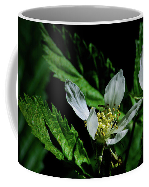 Flower Coffee Mug featuring the photograph Fruit Blossom by Tikvah's Hope