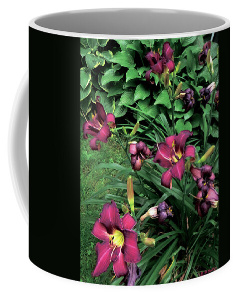 Lily Coffee Mug featuring the photograph Fuchsia Lilies by Celtic Artist Angela Dawn MacKay