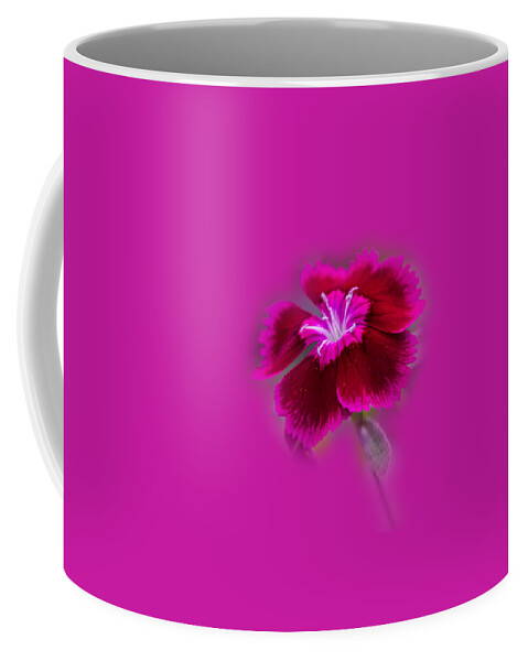 Flower Coffee Mug featuring the photograph Fuchsia Pink Dianthus Tee-shirt by Donna Brown