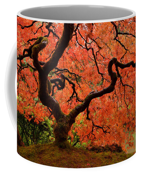 Asian Coffee Mug featuring the photograph Fuego by Don Schwartz
