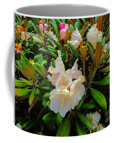 Full Bloom Coffee Mug featuring the photograph Full Bloom by Mim White
