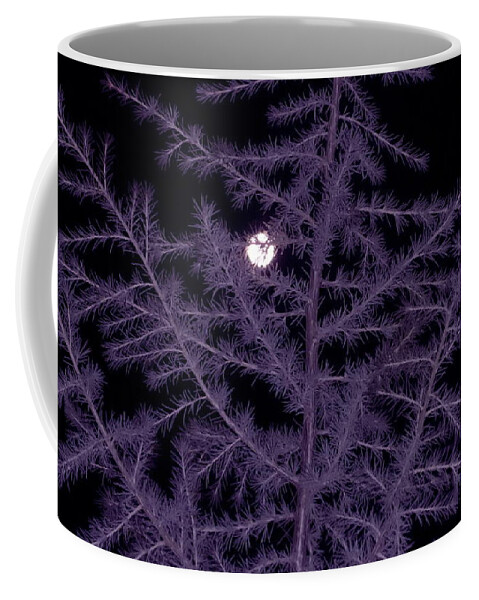 Full Moon Coffee Mug featuring the photograph Full Moon Christmas 2015 by Mars Besso
