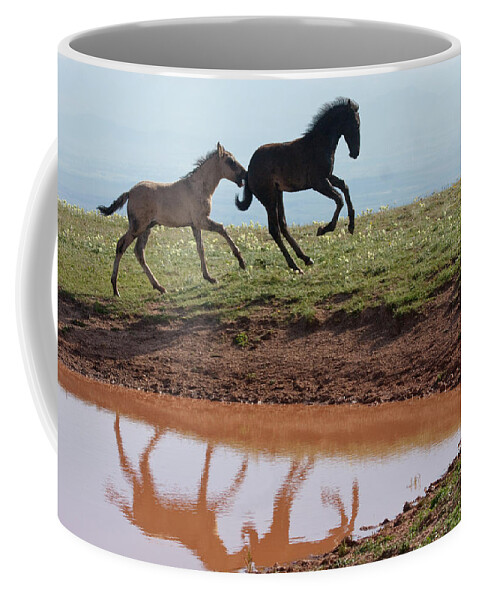 Wild Horse Coffee Mug featuring the photograph Fun in the Rockies- Wild Horse Foals by Mark Miller