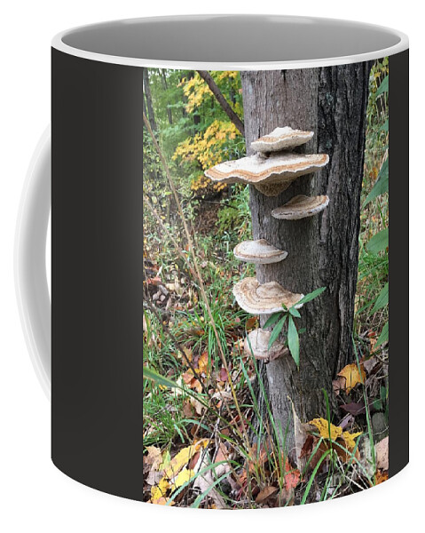 Nature Coffee Mug featuring the photograph Fungi by Christine Lathrop